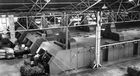 In Südafrika im Einsatz (1958): Vier Doppelbahn-Redrying-  (Fermentations-) Anlagen Type RBC 14 